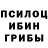 ГЕРОИН хмурый Luba Fisenko