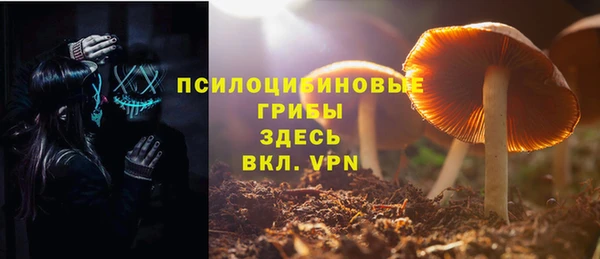 твердый Богородицк