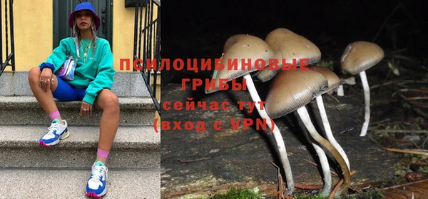 прущие крисы Богданович