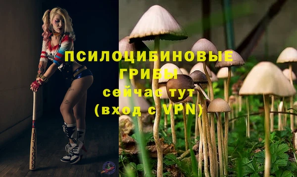 винт Богородск