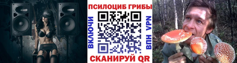 Псилоцибиновые грибы Psilocybe  наркошоп  Нижневартовск 